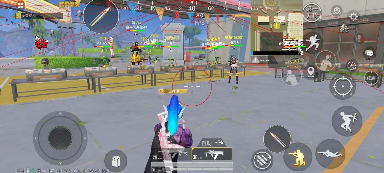 和平精英《向日葵》外挂