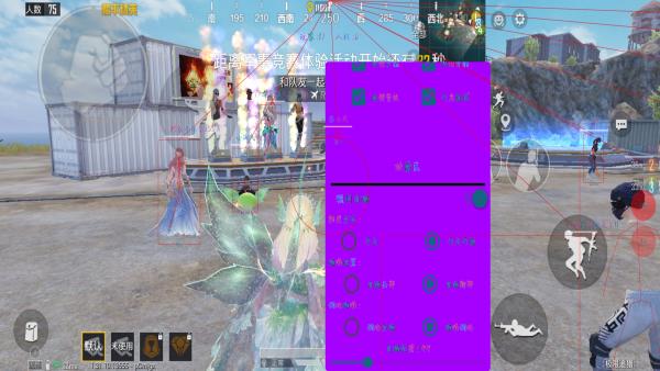 和平精英《番茄追踪》辅助